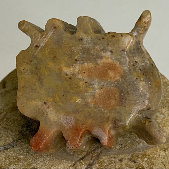 SPIDER Soapstone Figurine MINI Carved Stone Healing Crystal Animal Figure 1.5" - Picture 10 of 11